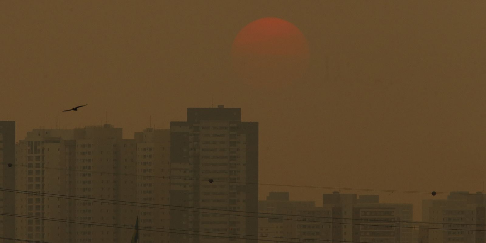 Céu de São Paulo em setembro de 2024. Imagem de contexto, não medição visual das concentrações globais.